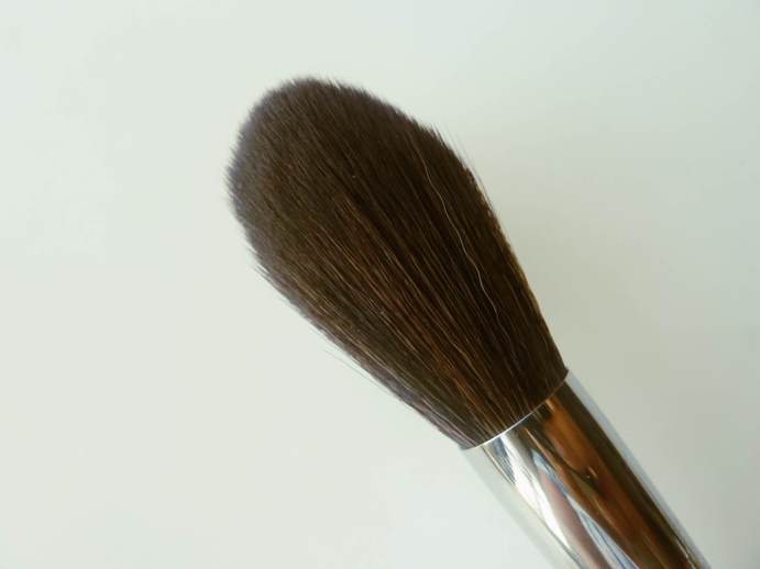 Sigma spotlight duster brush bristles