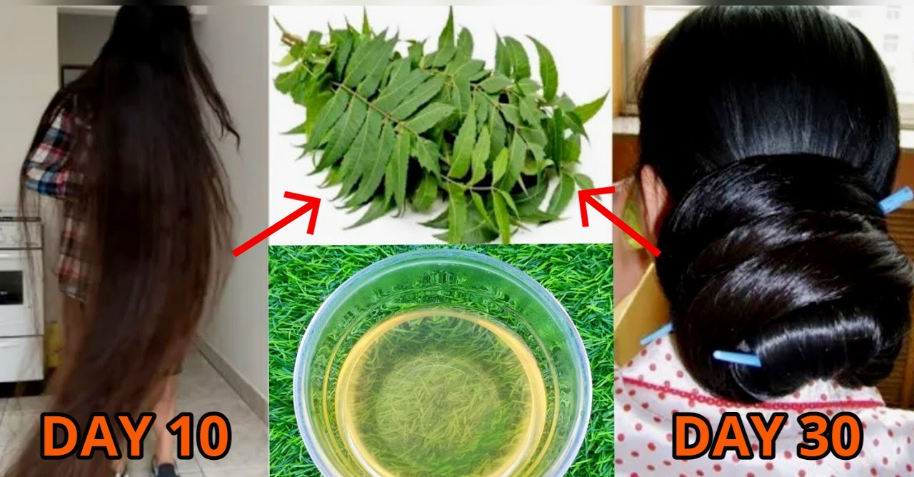5 Reasons to Use Curry Leaves in Your Hair Care Routine