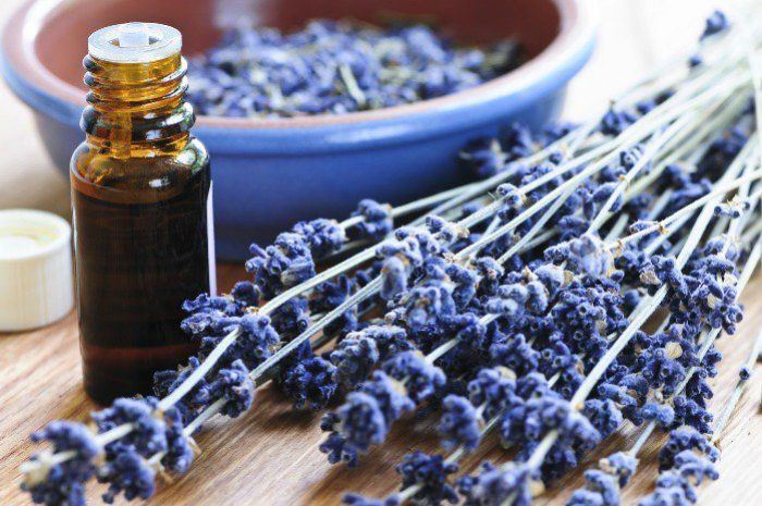lavender essential oil for eye care