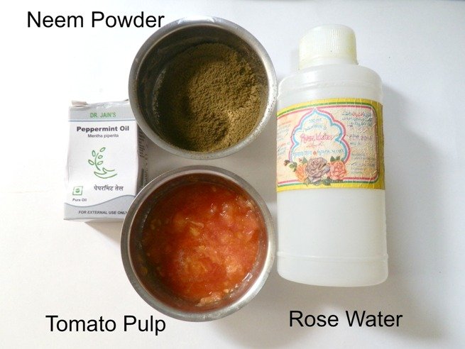 Homemade Purifying and Skin Clearing Face Pack ingredients