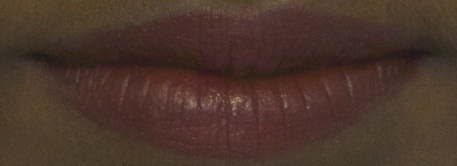 Kiko Milano #113 Black Cherry Double Touch Lipstick lip swatch