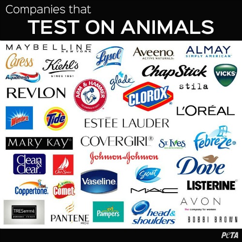 the-truth-about-cruelty-free-cosmetics-1
