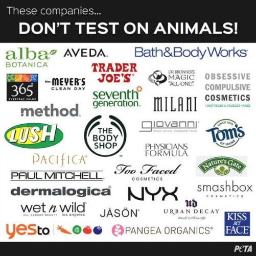 the-truth-about-cruelty-free-cosmetics-2