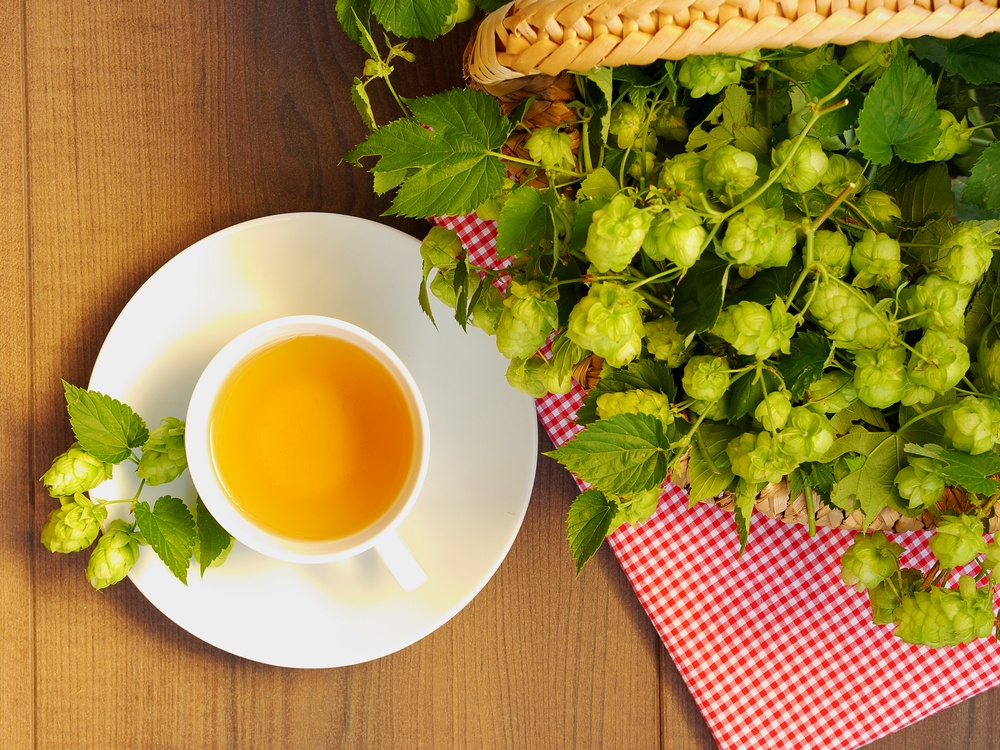 15-different-type-of-teas-for-weight-loss-10
