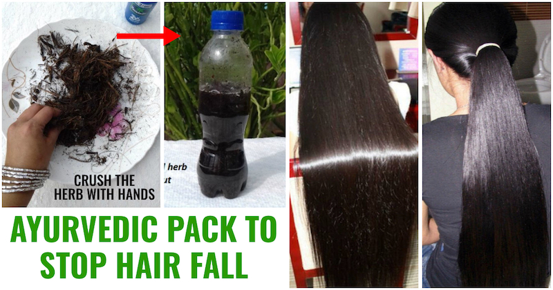 DIY Baal Jhad Herb (Alkanet Root) Infused Coconut Oil for Hair Growth