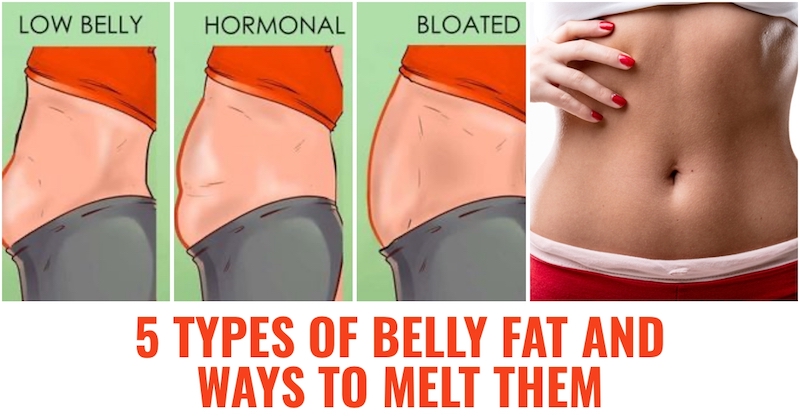 Types of belly fat