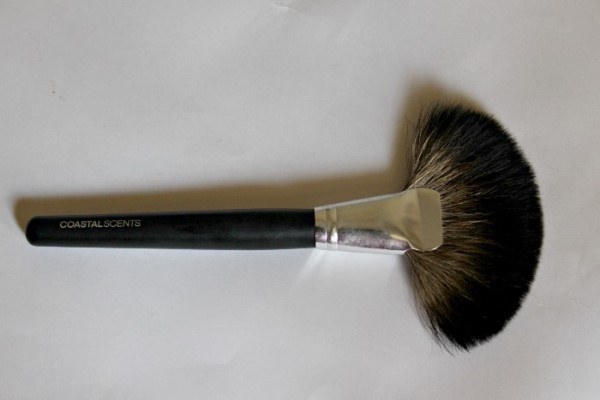 Coastal Scents Classic Fan Brush Review