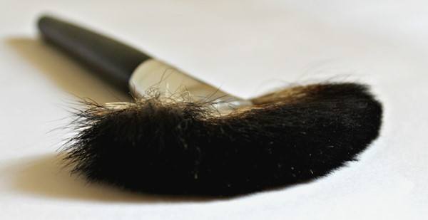 Coastal Scents Classic Fan Brush Review2