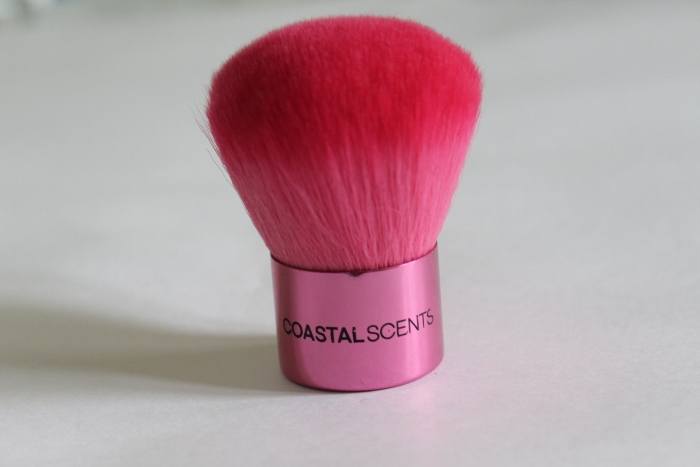 Coastal Scents Pink Kabuki Brush Review4