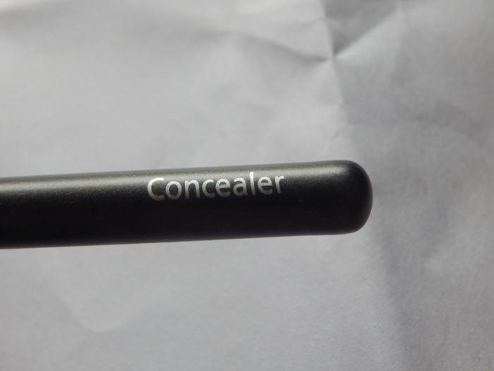 Colorbar Pro Concealer Brush handle