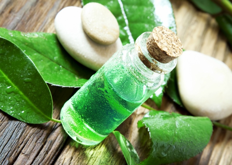 Essential Oil Bottle.Tea Tree Essence for Aromatherapy