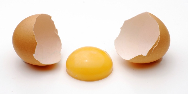 One broken egg and yolk on white background. Egg on white background.