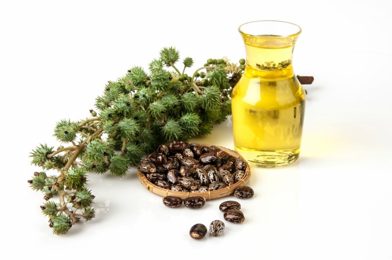 Castor oil with castor fruits, seeds and leaf.