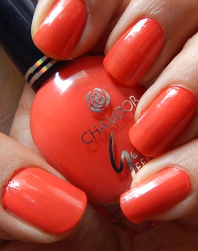 Chambor Gel Effect Nail Lacquer 103, 304, 209, 104 Review and Swatches 104 Swatch
