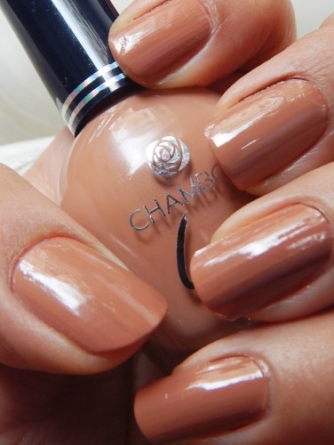 Chambor Gel Effect Nail Lacquer 103, 304, 209, 104 Review and Swatches 304 Swatch