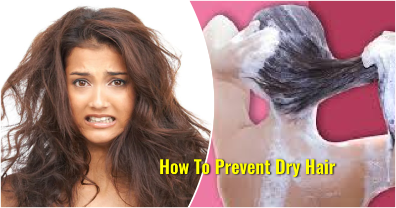 15 best products for dry hair in 2023 plus expert hydration tips