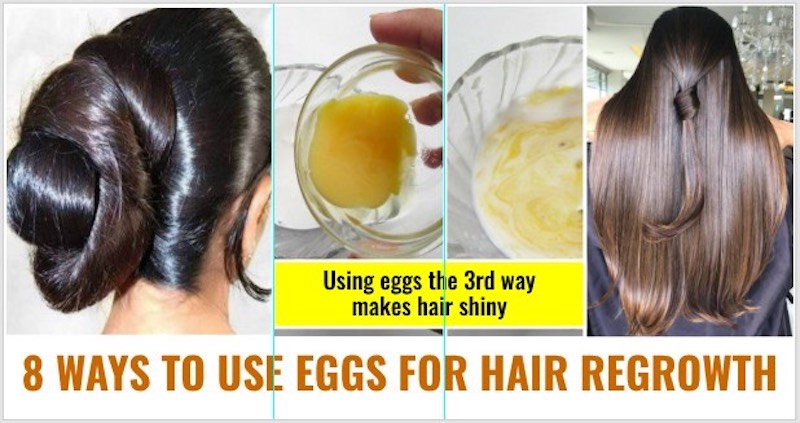 Ways to use eggs for hair regrowth