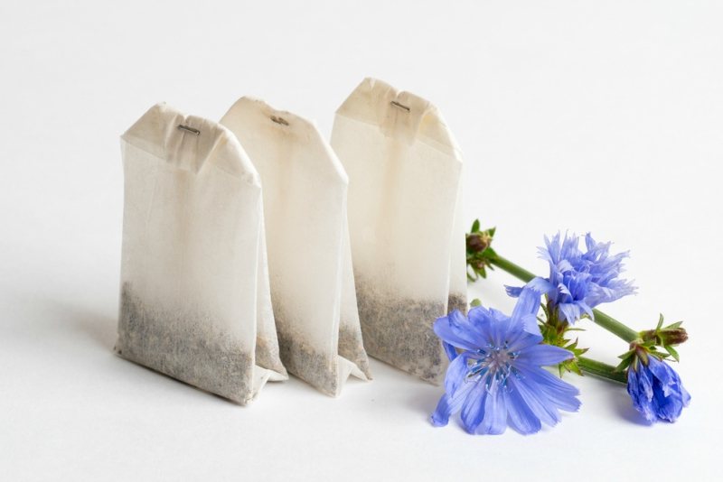 three tea bags with chicory on white