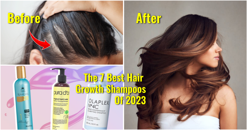 Organic Hair Shampoo - Buy Best Natural Shampoos for Hair Online - Organic  Harvest
