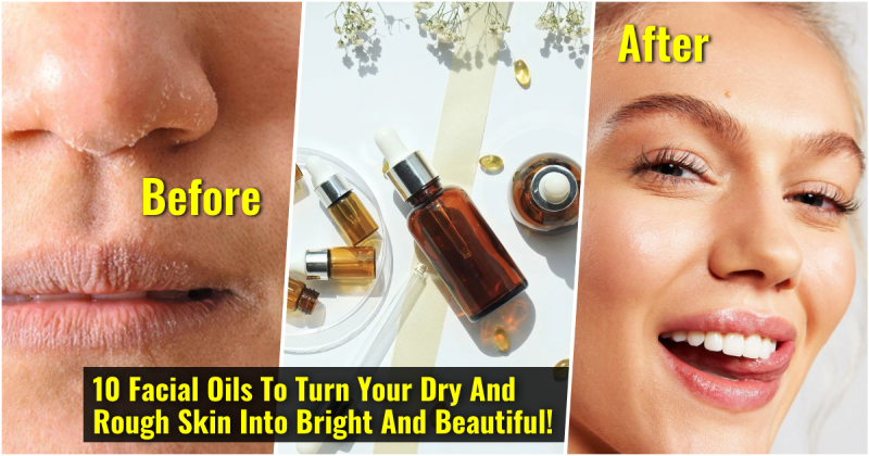  10 Facial Oils to Transform