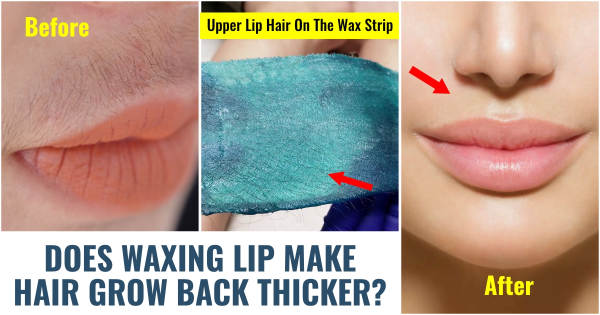 Does Waxing Lip Make Hair Grow Back Thicker? 
