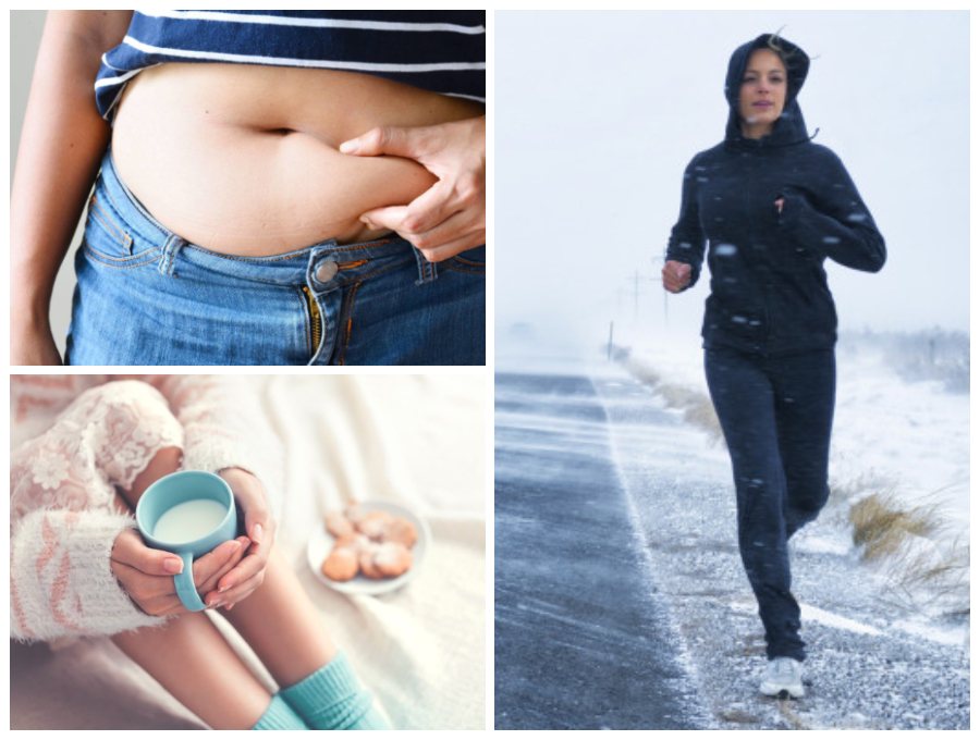 Why We Gain Fat in Winters