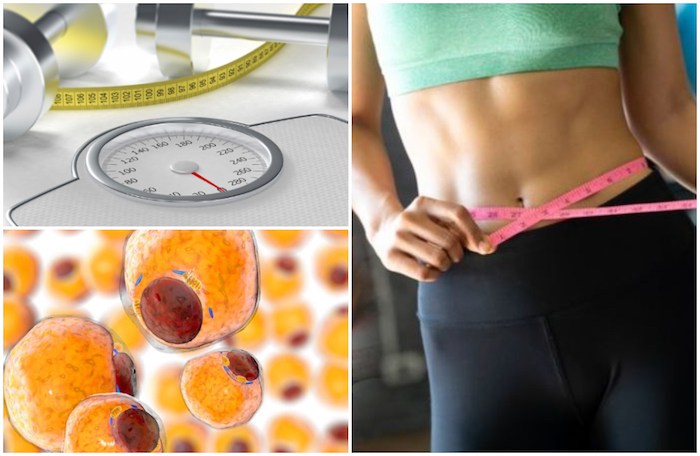 Biological Reasons Making it Hard to Lose Weight and How to Correct Them
