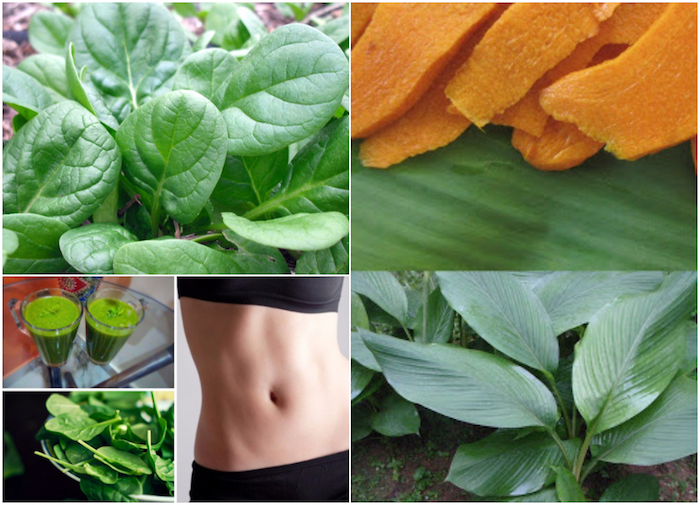 Best Leafy Green Vegetables to Boost Weight Loss