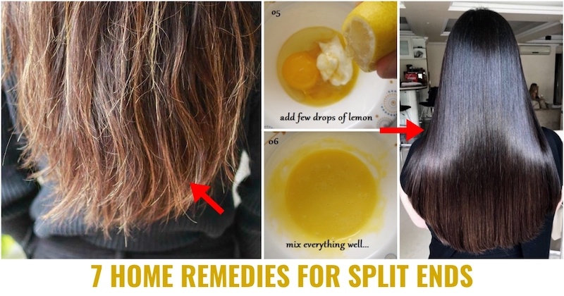 7 Best Home Remedies For Split Ends 