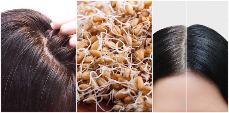 Foods With Catalase Enzyme To Reverse Grey Hair
