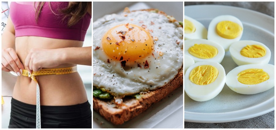 Eggs are Good For Weight Loss